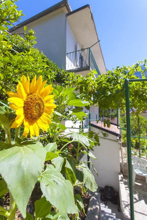 Apartament Kumpar